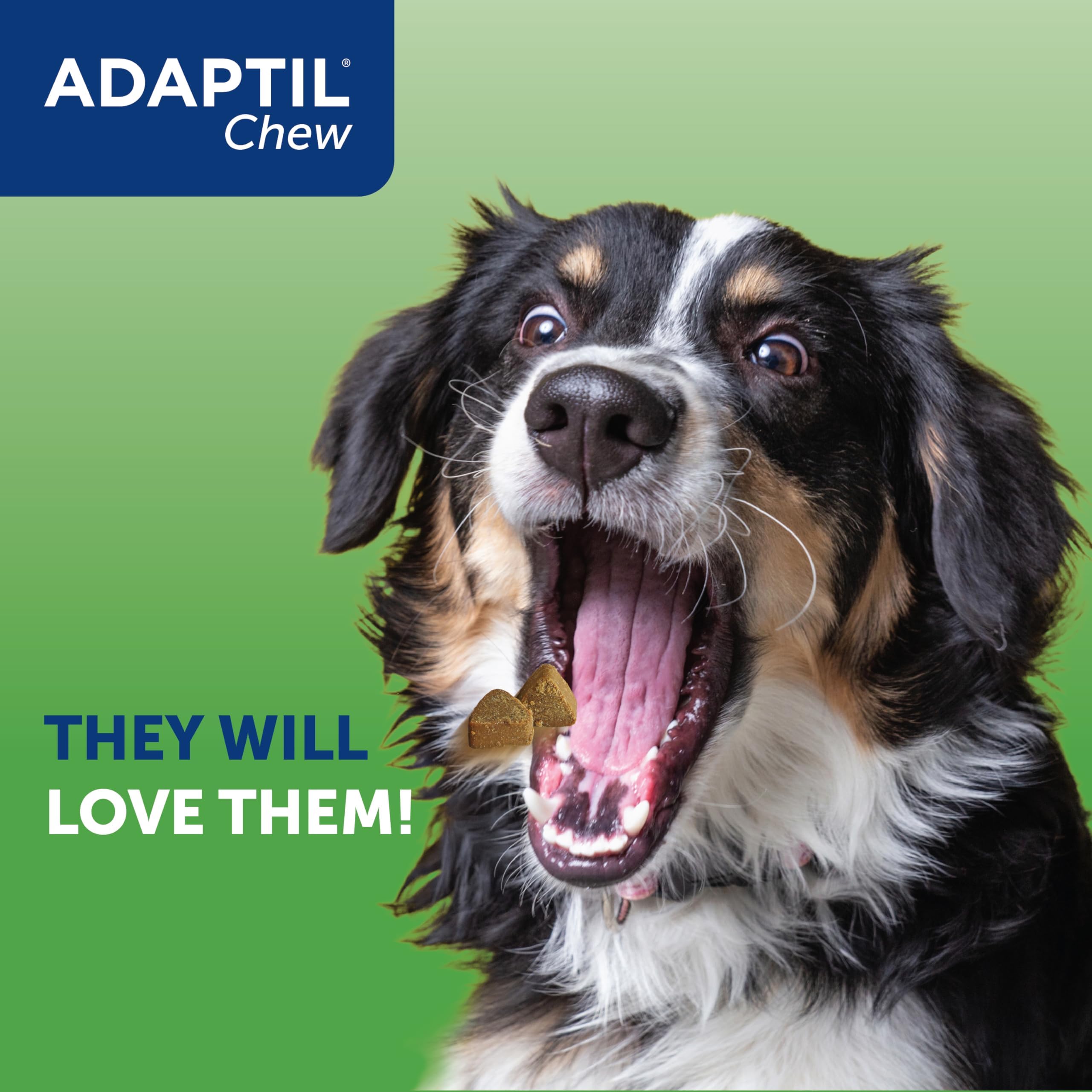 Adaptil Calming Dog Treats for Anxiety Relief - 30 Fast-Acting Stress Reducing Chews for Dogs - Helps with Fireworks, Thunderstorms & Travel - Tasty Natural Treats for Nervous Pups - Perfect for Vet Visits & Separation Anxiety