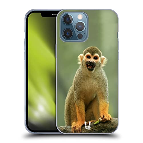Common Squirrel Monkey