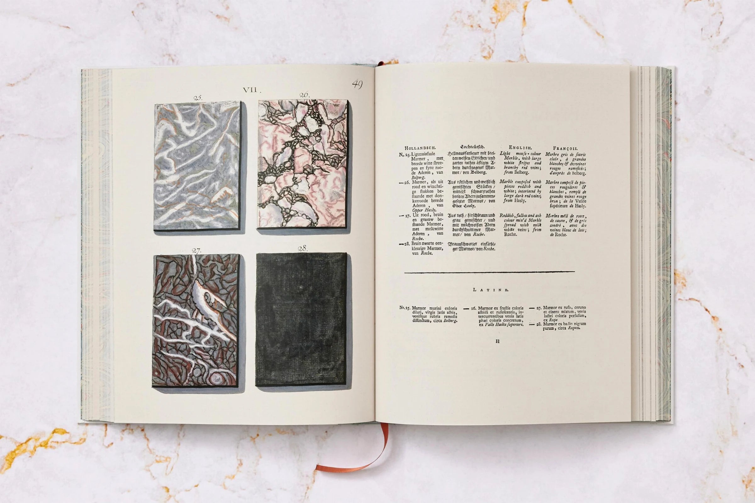 Jan Christiaan Sepp The Book of Marble | Antique Natural History Book | Rare Collectible Edition for Home Decor & Library Display