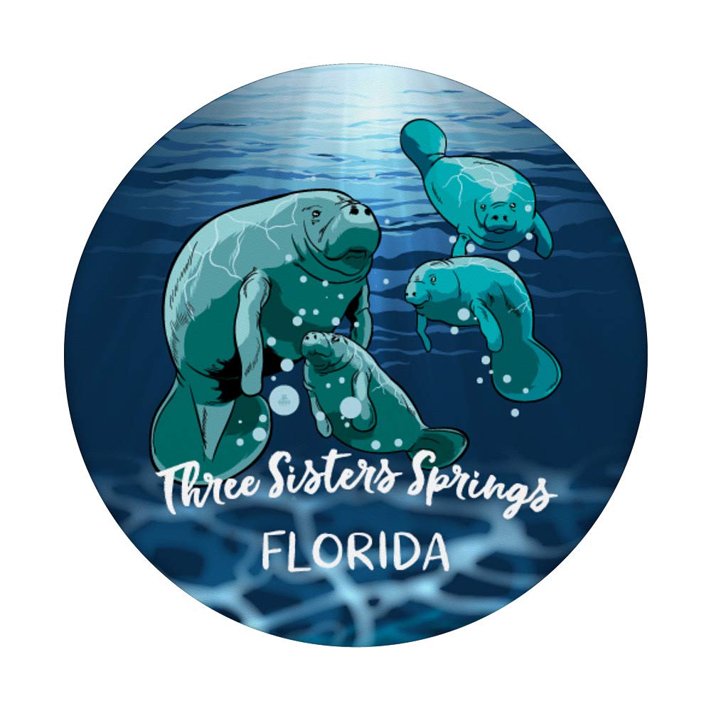 Three Sisters Springs Manatee Florida PopSockets - Phone Grip & Stand for iPhone, Samsung, Tablets - Perfect Travel & Outdoor Gift for Men & Women