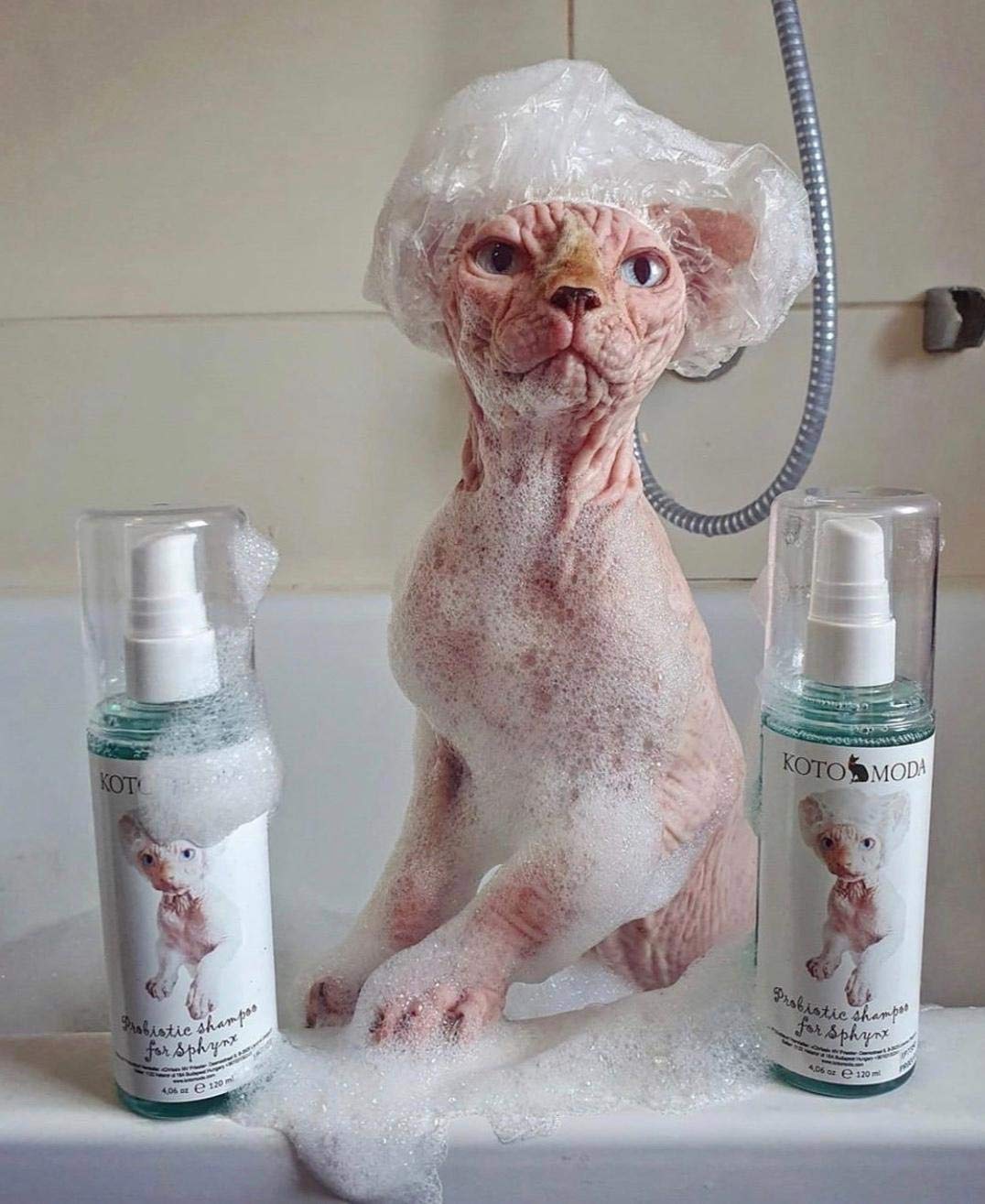 Gentle Sphynx Cat Shampoo for Hairless & Naked Cats - 120ml Hypoallergenic Formula with Foam Pump - Perfect for Sensitive Skin & Bath Time Care