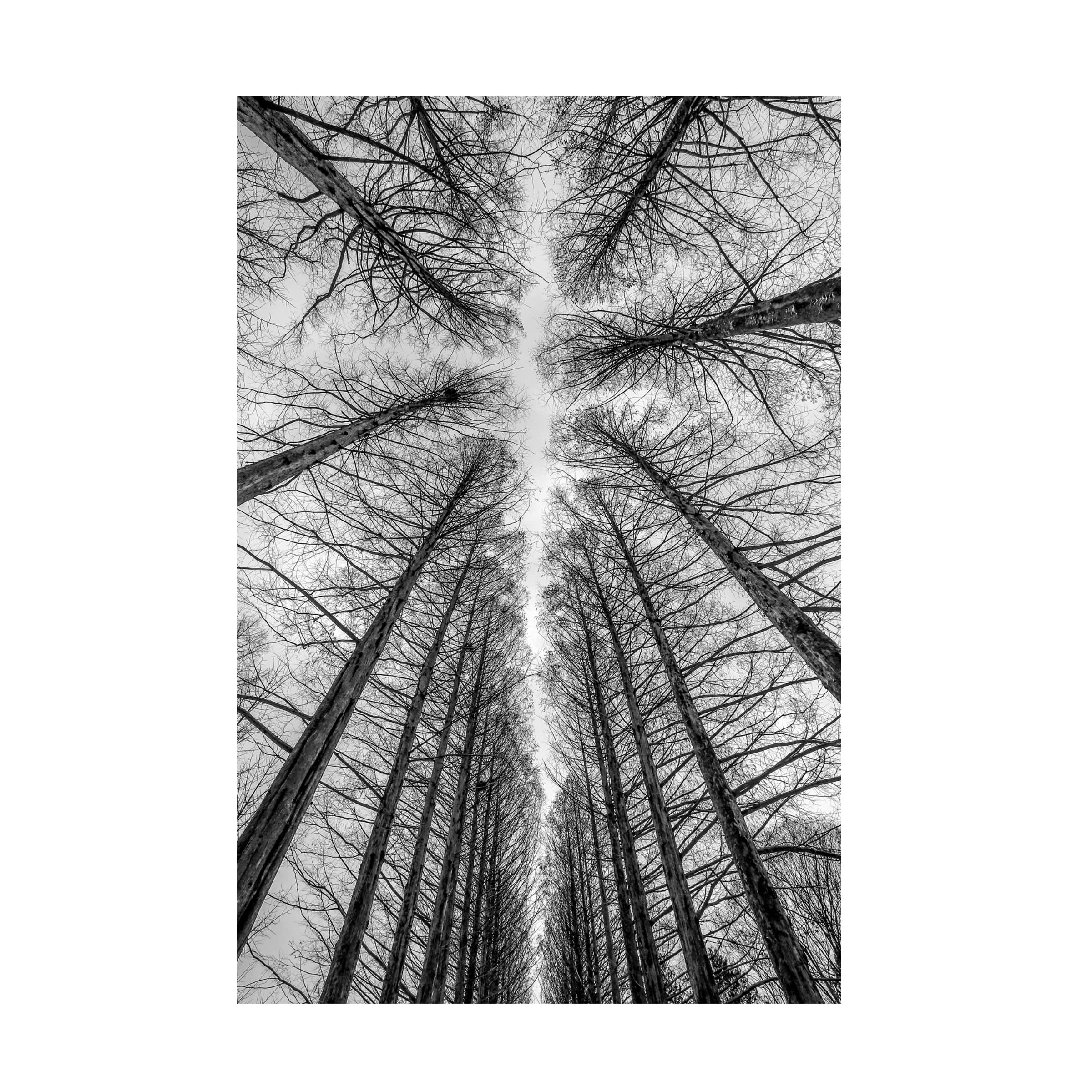 Trademark Fine Art 'The Road' Canvas Wall Art Print by Ronni Santoso - Modern Landscape Painting for Living Room, Bedroom & Office Decor