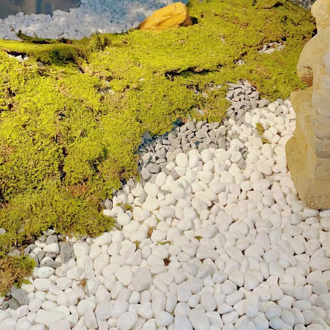 5lb White Pebbles for Indoor Plants - 1-2 Inch Natural River Rocks, Snow White Decorative Stones for Fish Tanks, Vases, Crafts, Home Decor & Garden Landscaping - Perfect for Zen Gardens, Terrariums, and Succulent Arrangements