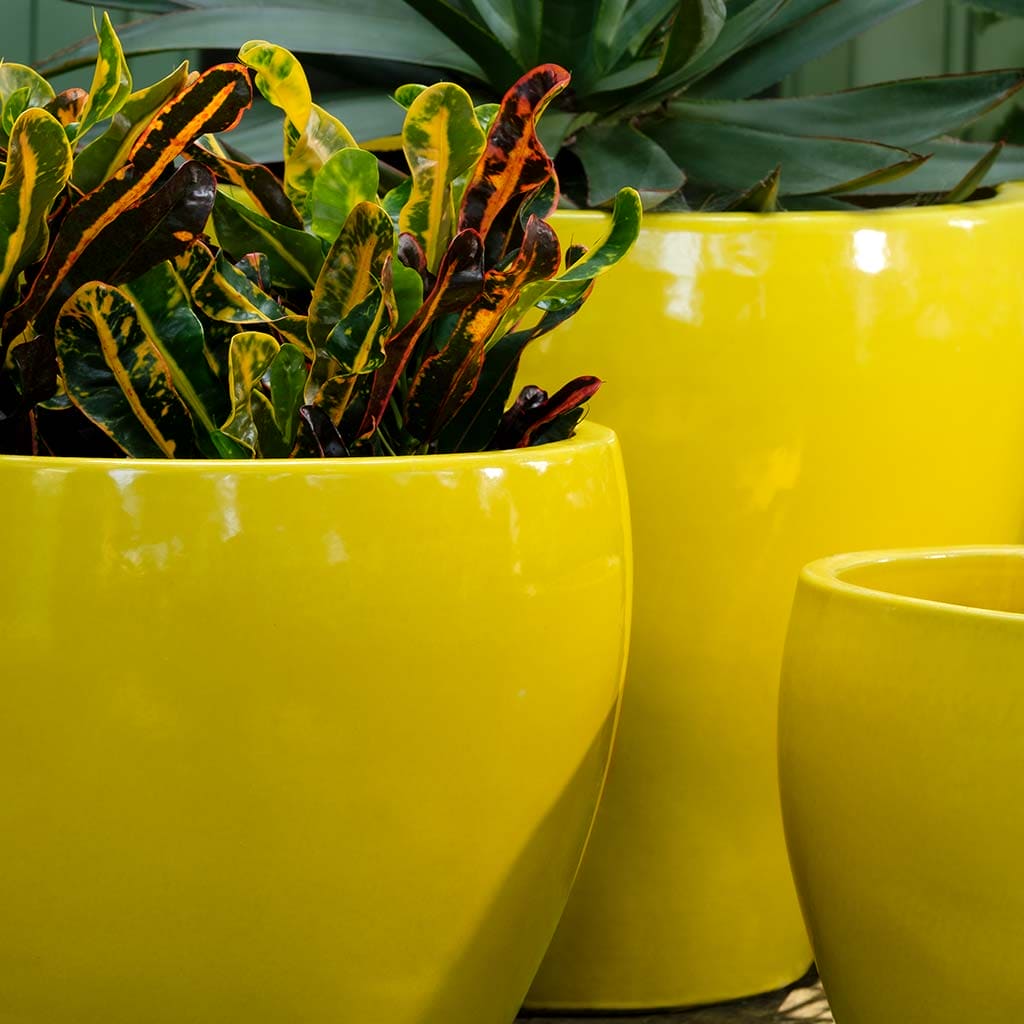 Campania International Limon Cabochon Planter Set of 3 - Modern Ceramic Flower Pots for Indoor Plants, Succulents & Home Decor | Perfect for Living Room, Patio & Garden Decorations