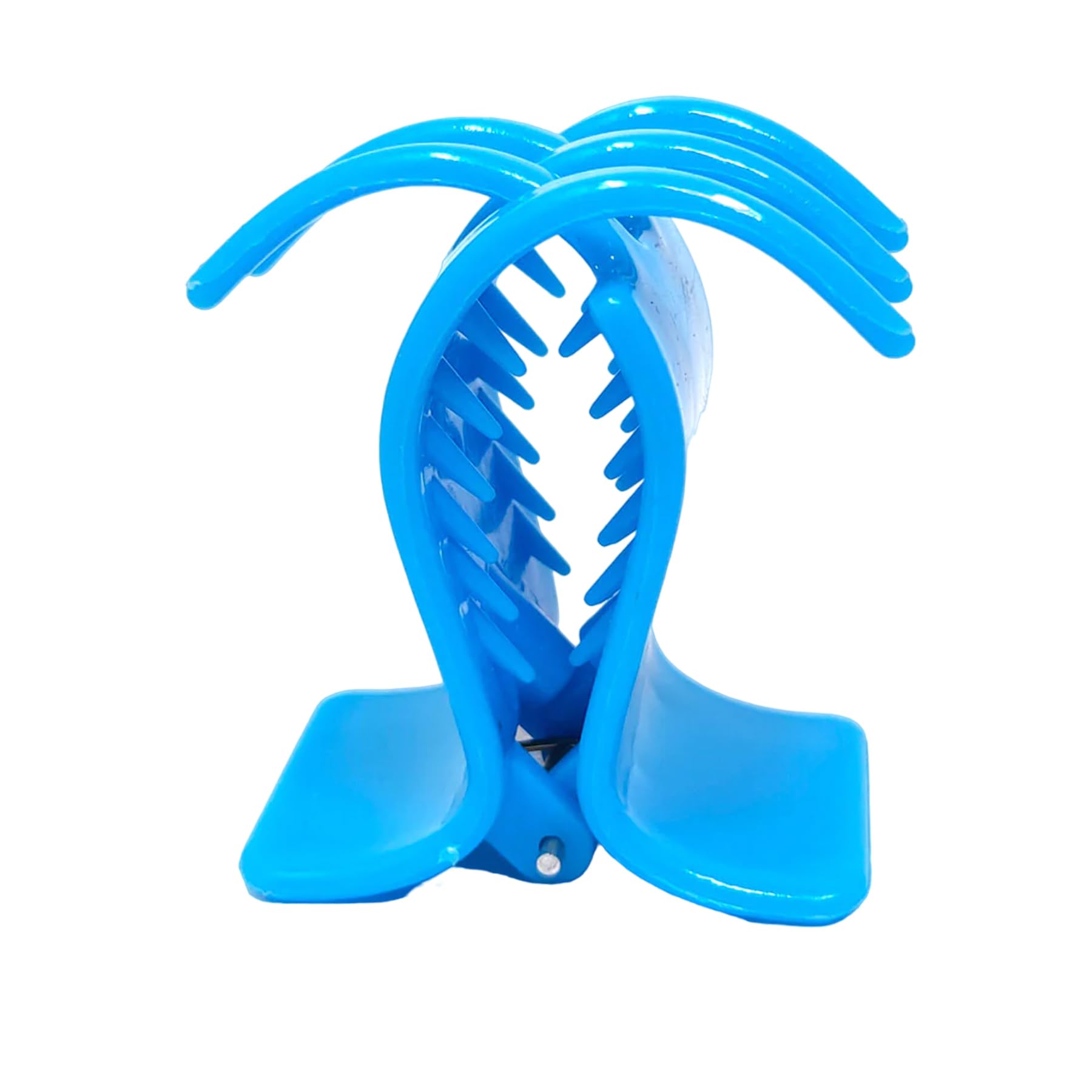 Trendy Plastic Hair Clutch for Women - Medium Size Hair Claw Clip (Pack of 6) | Girls Hair Accessories | Perfect for School, Work & Everyday Styling