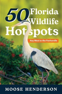 50 Best Florida Wildlife Hotspots: Ultimate Guide for Photographers & Nature Lovers | Bird Watching, Hiking & Outdoor Photography Locations