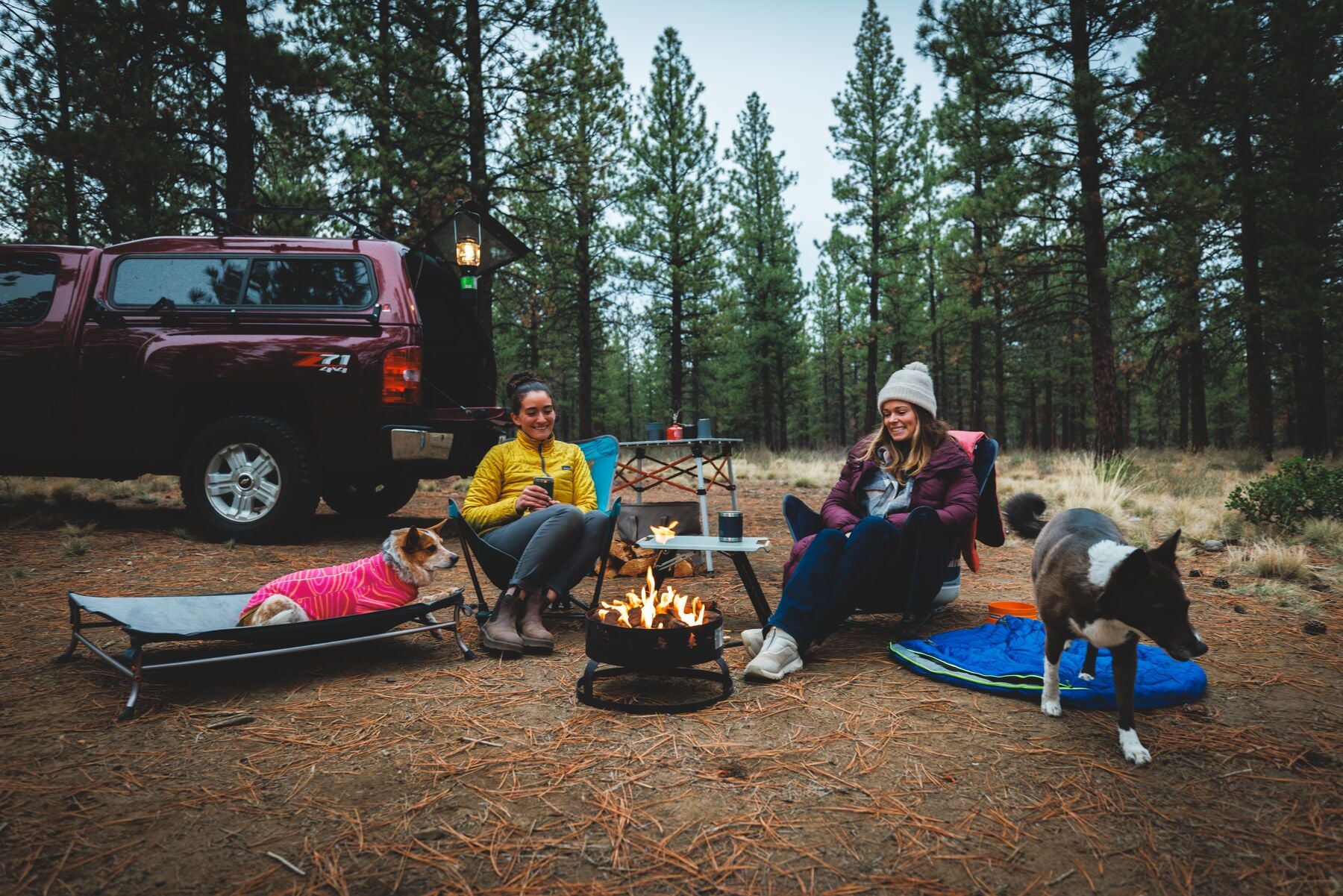 Portable & Lightweight Elevated Dog Bed - Mt. EverRest™ by Ruffwear | Perfect for Camping, Travel & Outdoor Adventures with Your Pet