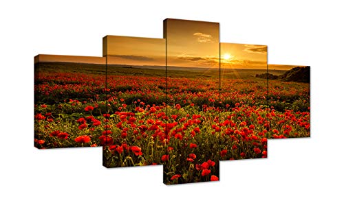 Red Flower-04
