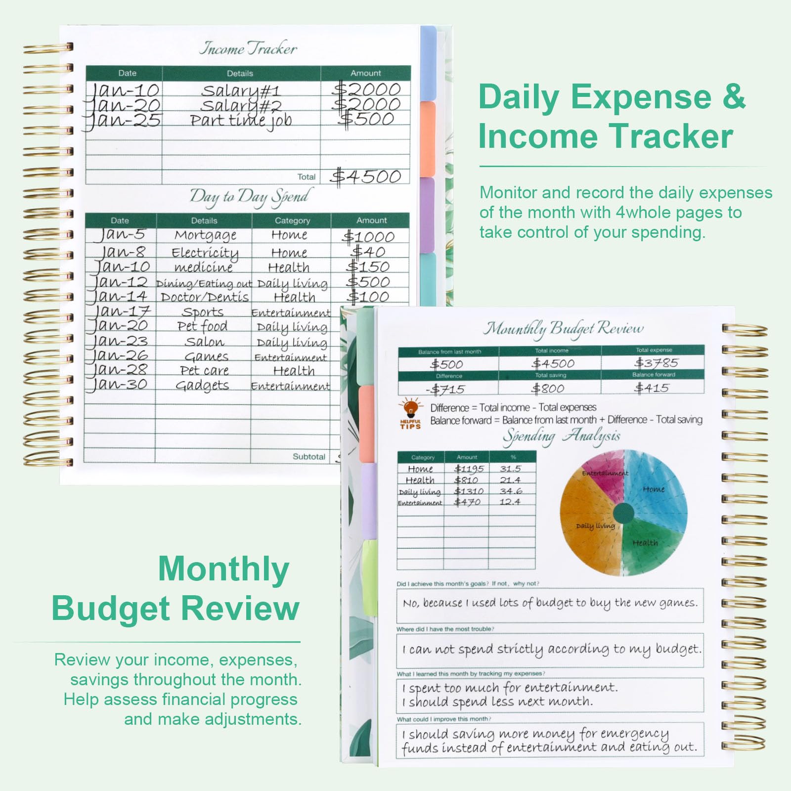 2025 Large Budget Planner 8.5