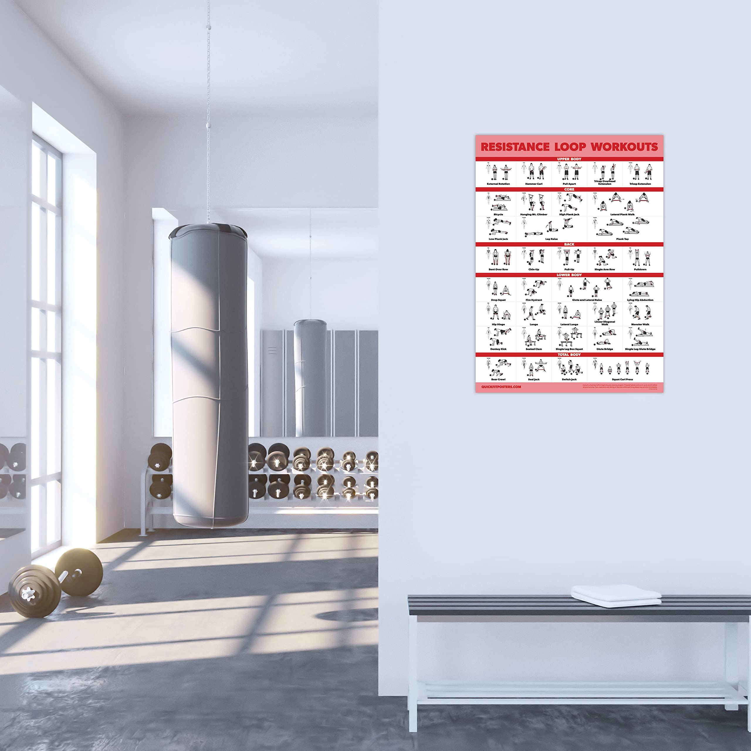 2 Pack Resistance Bands & Loops Workout Posters - Set of 2 Laminated Exercise Charts for Home Gym, Physical Therapy & Fitness Training | Palace Learning