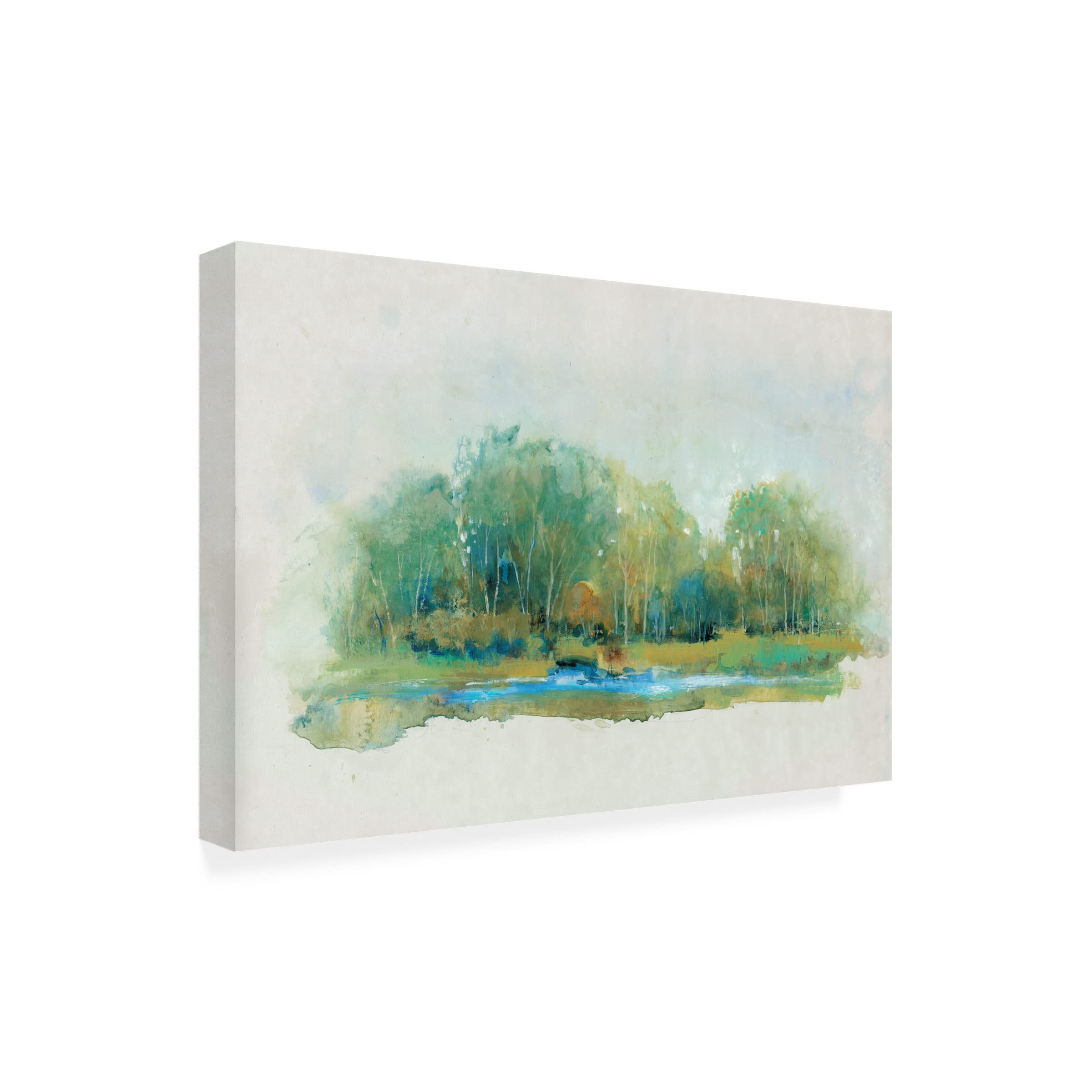 Trademark Fine Art 'Forest Vignette II' Canvas Wall Art by Tim O'Toole - Nature Landscape Painting for Living Room, Bedroom & Office Decor