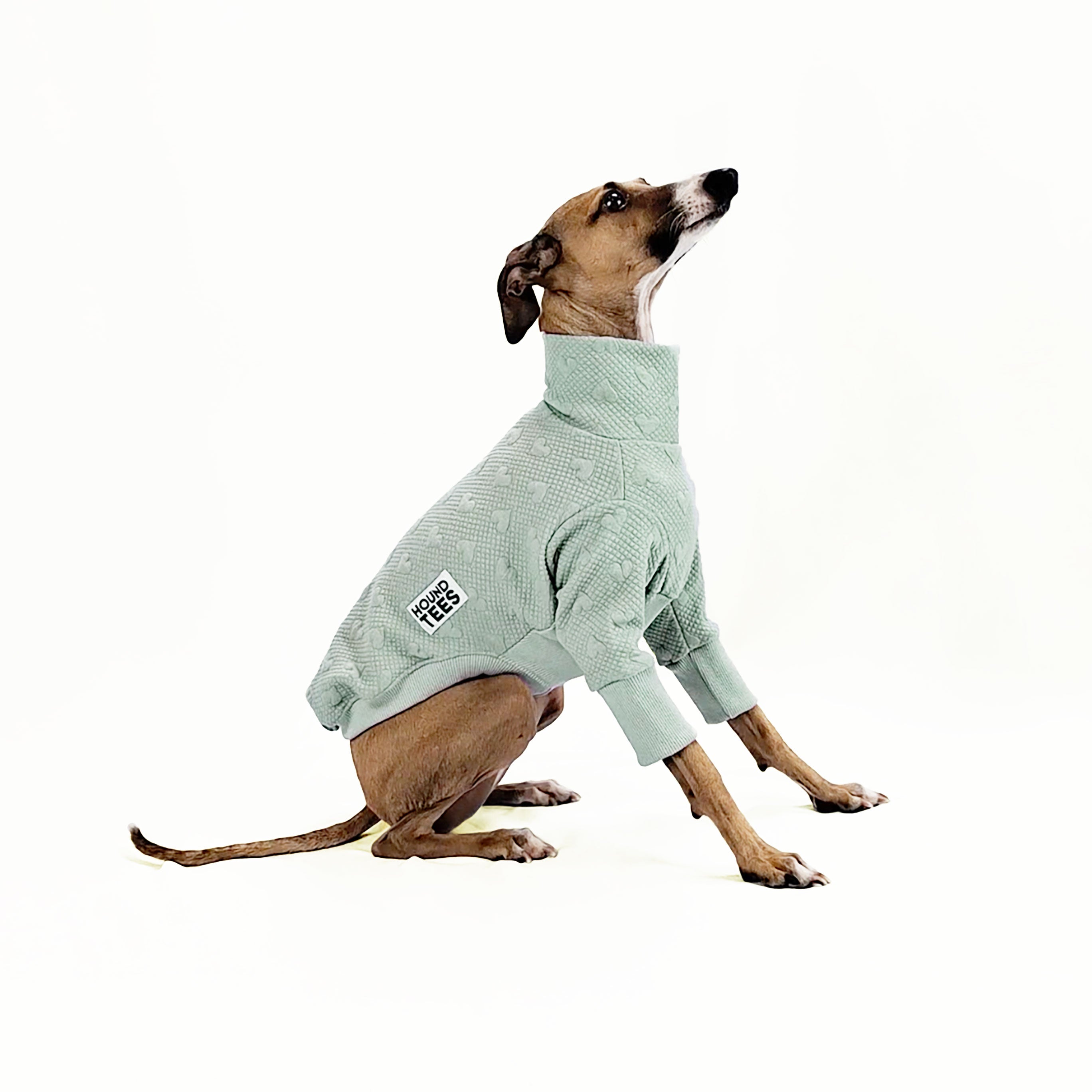Olive You Italian Greyhound Quilted Sweater - Cozy Dog Clothes for Small Breeds - Perfect for Winter Walks & Indoor Lounging
