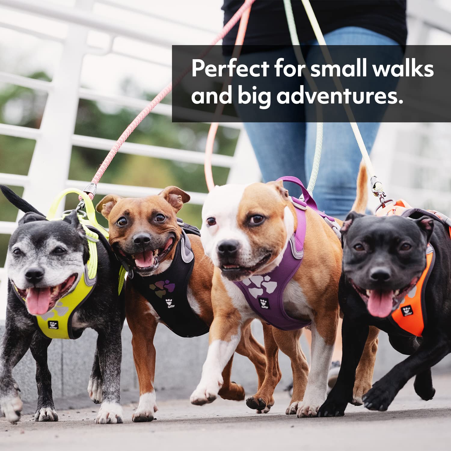 Hurtta Weekend Warrior Dog Harness - Adjustable No-Pull Vest for Medium Dogs (16-18 inch Chest) - Durable Reflective Raven Black - Perfect for Hiking, Running & Outdoor Adventures