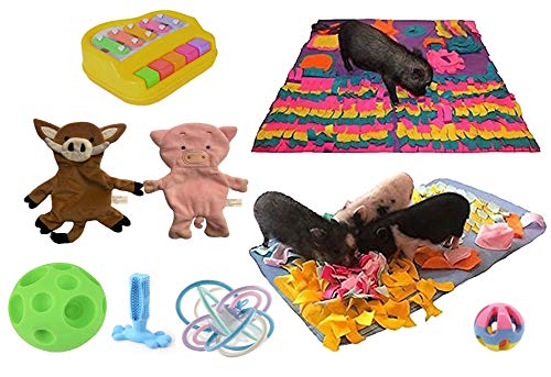 Pig Box Pet Toy Gift Set - Fun Chew Toys for Dogs & Puppies - Perfect for Playtime, Training, and Birthday Gifts