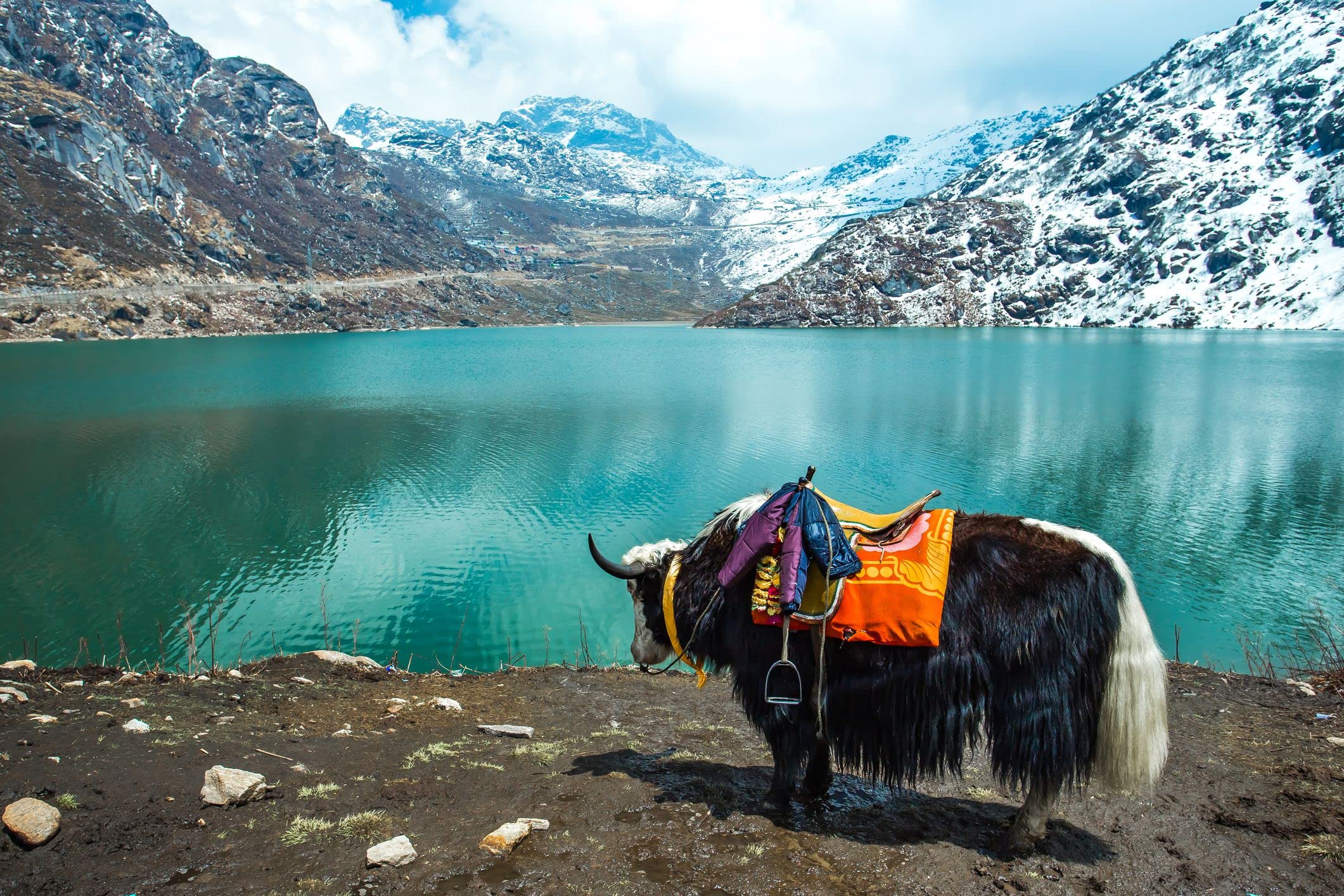 1000 Piece India Himalayas Lake Jigsaw Puzzle - Art DIY Puzzle for Adults & Kids - Challenging Large Puzzle Game Toy Gift for Family Game Night & Relaxation