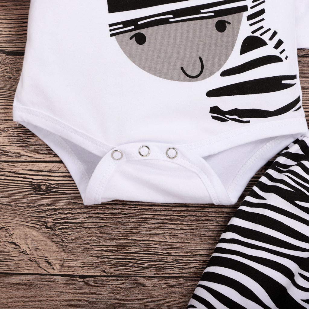 Unisex Baby Clothes Set - 3PCS Zebra Cartoon Cotton Long Sleeve Top, Pants & Hat for Newborns 6-12 Months | Soft & Comfortable Infant Outfits for Boys & Girls | Perfect for Daily Wear, Photo Shoots & Special Occasions