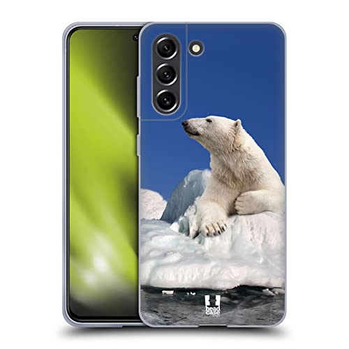 Polar Bear On Ice