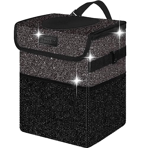 Black Bling Sparkly