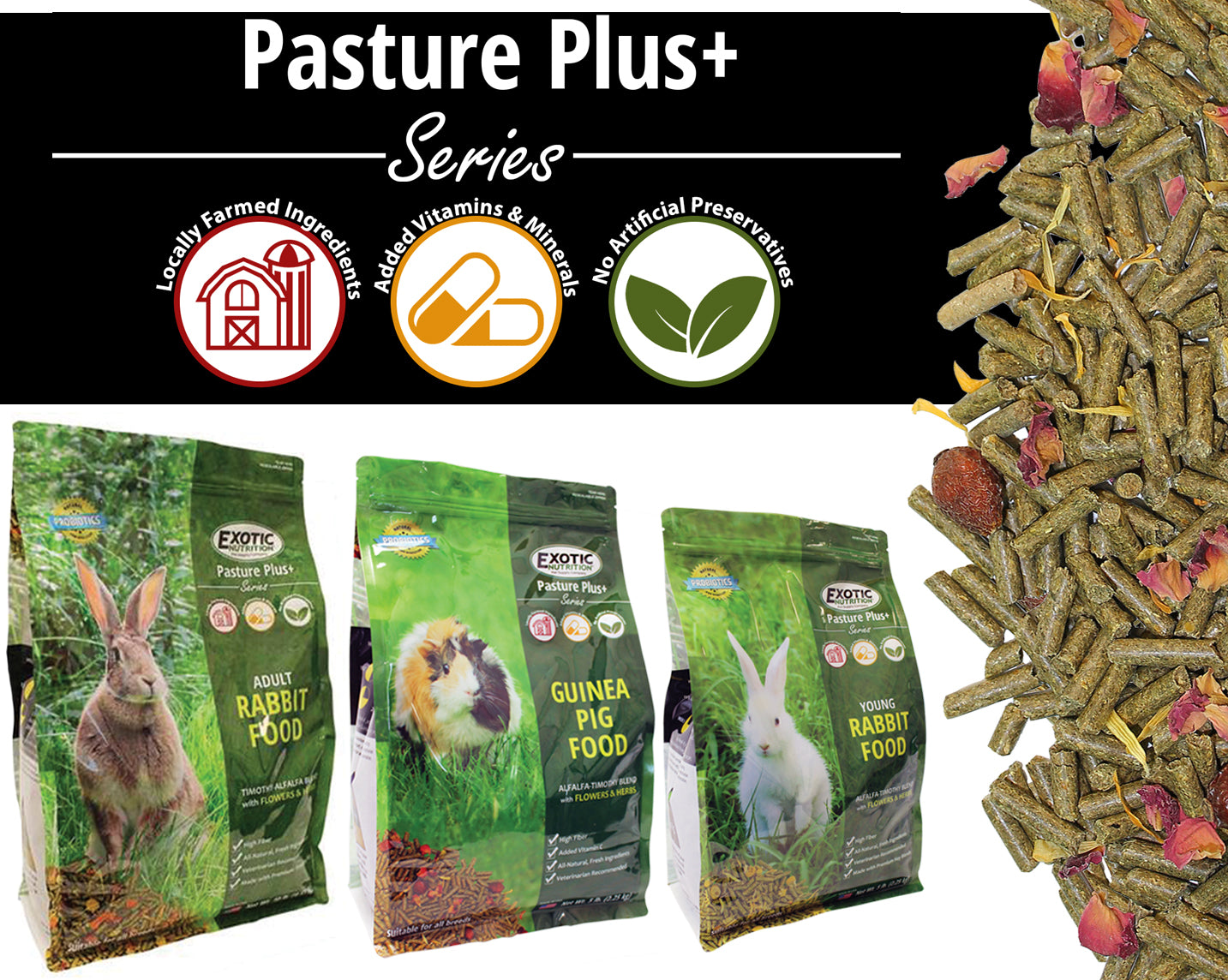 Premium Young Rabbit Food Pellets - 5 lb Bag | High Protein & Fiber Diet for Growing Rabbits | Ideal for Pet Rabbits, Bunnies & Small Animals | Perfect for Daily Feeding & Nutritional Support