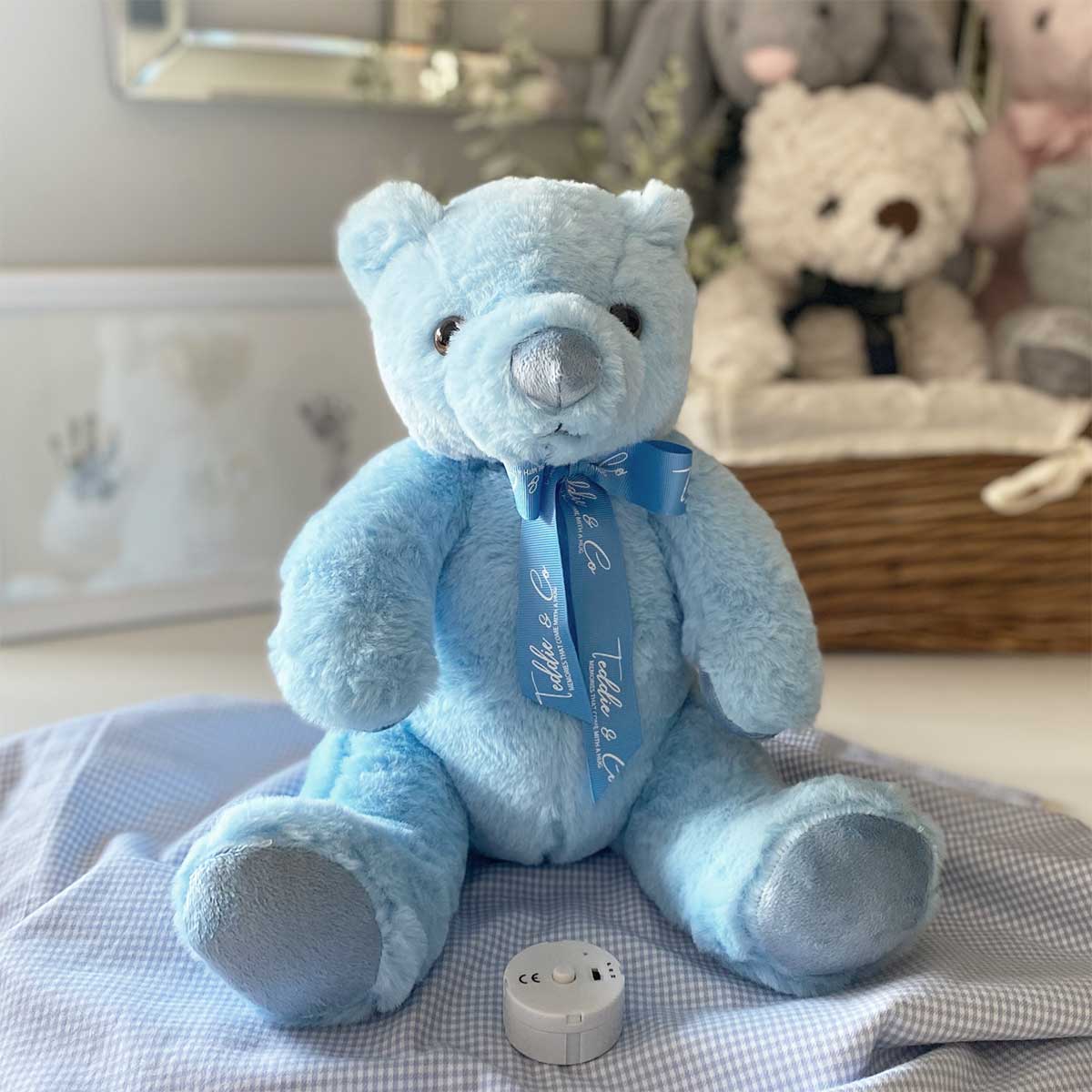 Blue Teddy Bear with Voice Recording - Cute Plush Stuffed Animal for Kids, Gifts & Nursery Decor | Perfect for Birthdays, Valentine's Day & Baby Showers