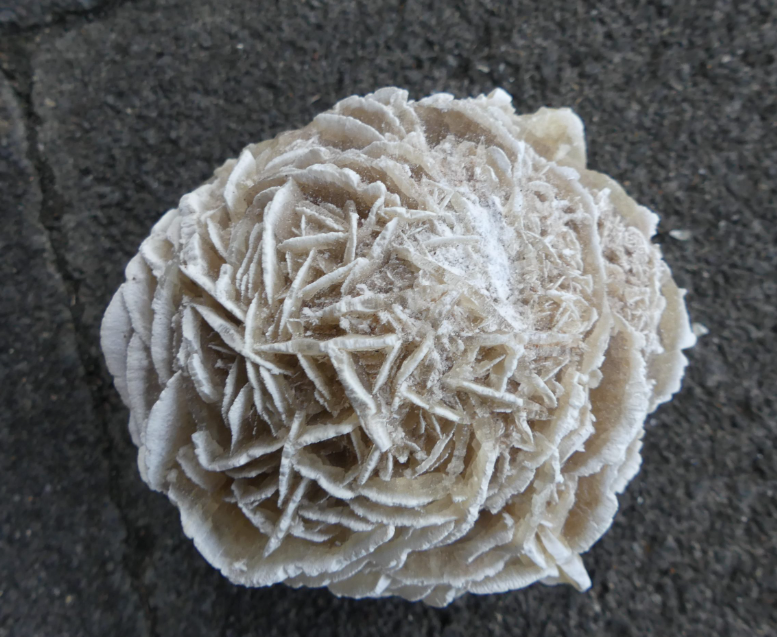 Desert Rose Stone - Natural Selenite Crystal for Intuition & Spiritual Healing | Meditation, Reiki, Home Decor, Gift Idea
