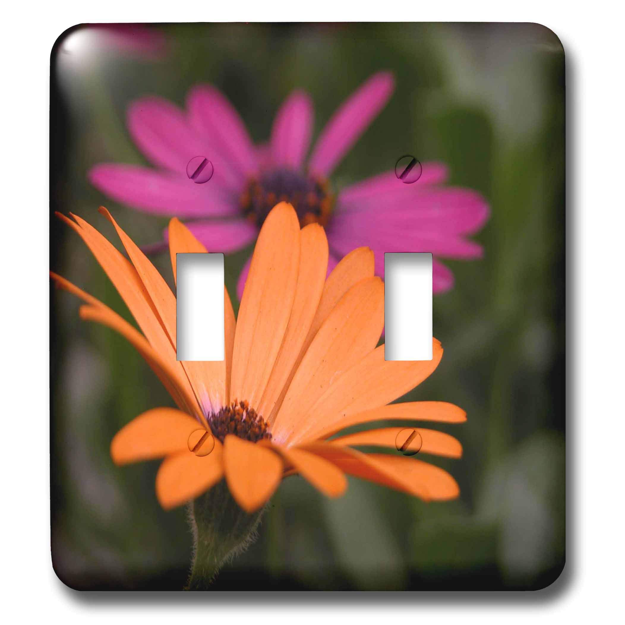 3D Rose Pink and Orange Gerber Daisies Double Toggle Switch - Decorative Wall Switch Cover for Bedroom, Kitchen, Bathroom & Home Decor