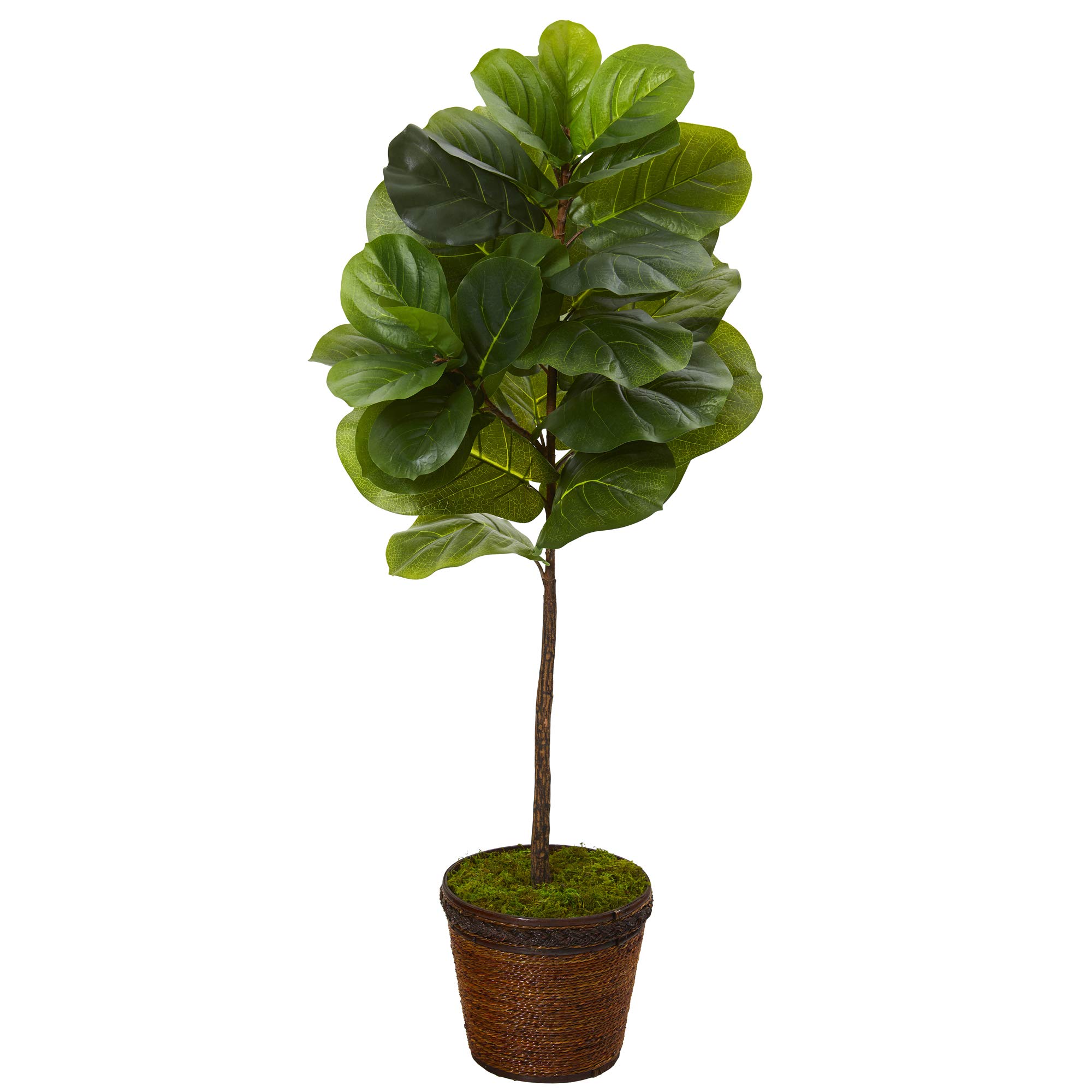 Nearly Natural 4ft Fiddle Leaf Artificial Silk Tree with Coiled Rope Planter - Real Touch Technology, Lifelike Green Indoor Plant for Home, Office, and Living Room Decor