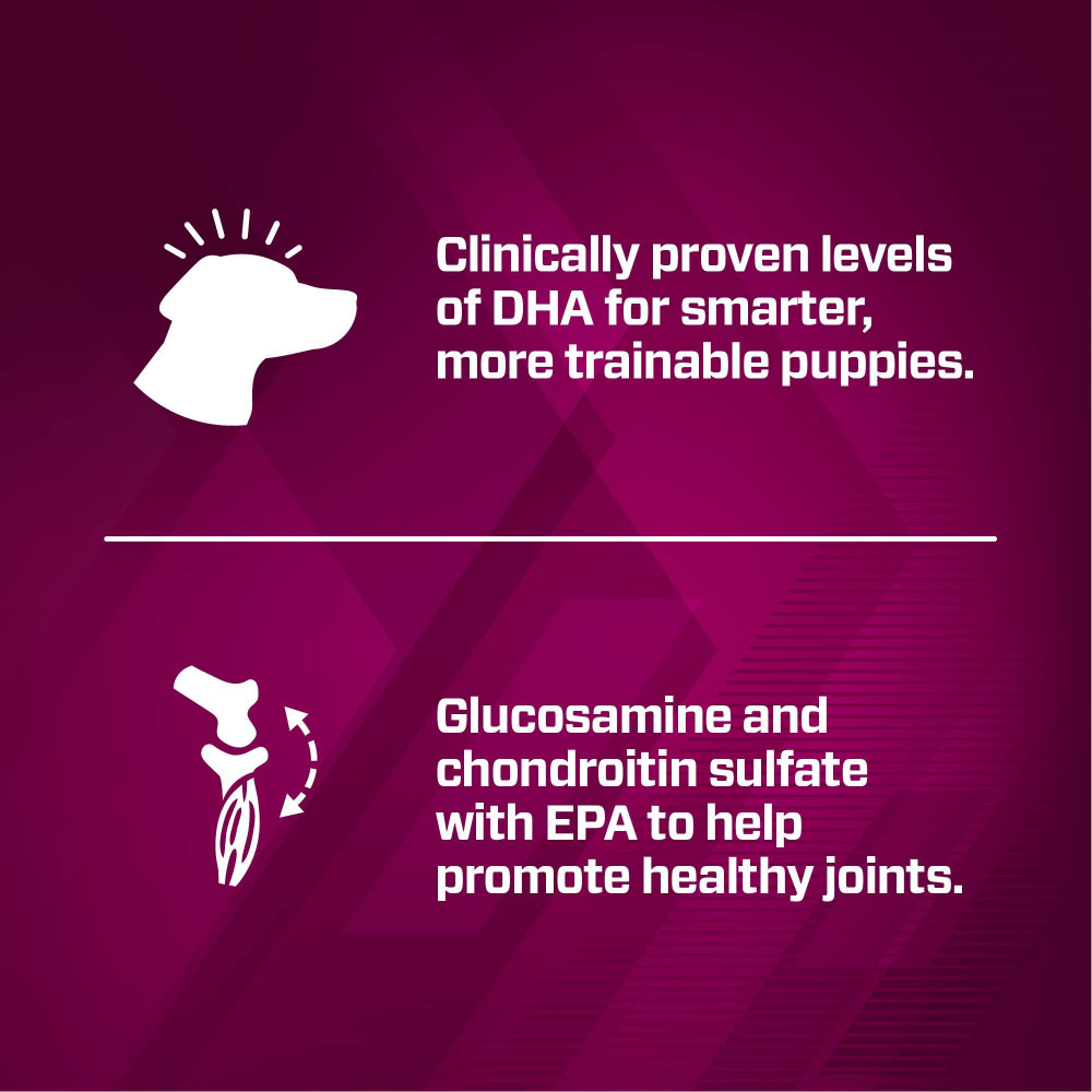 Eukanuba Premium Performance Puppy Pro Dry Dog Food - High Protein Puppy Food for Large Breed Dogs | Supports Muscle Growth & Bone Development | Ideal for Active Puppies & Training