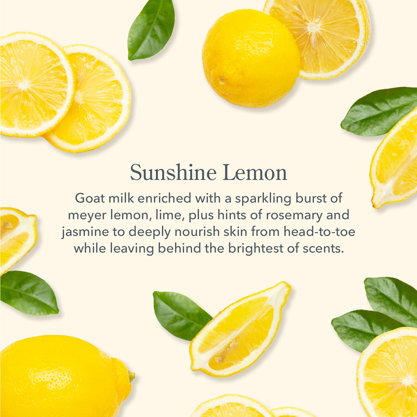 Sunshine Lemon Lip Balm 3 Pack - Moisturizing & Natural Lip Care for Dry Lips - Perfect for Daily Use, Travel & Gifts
