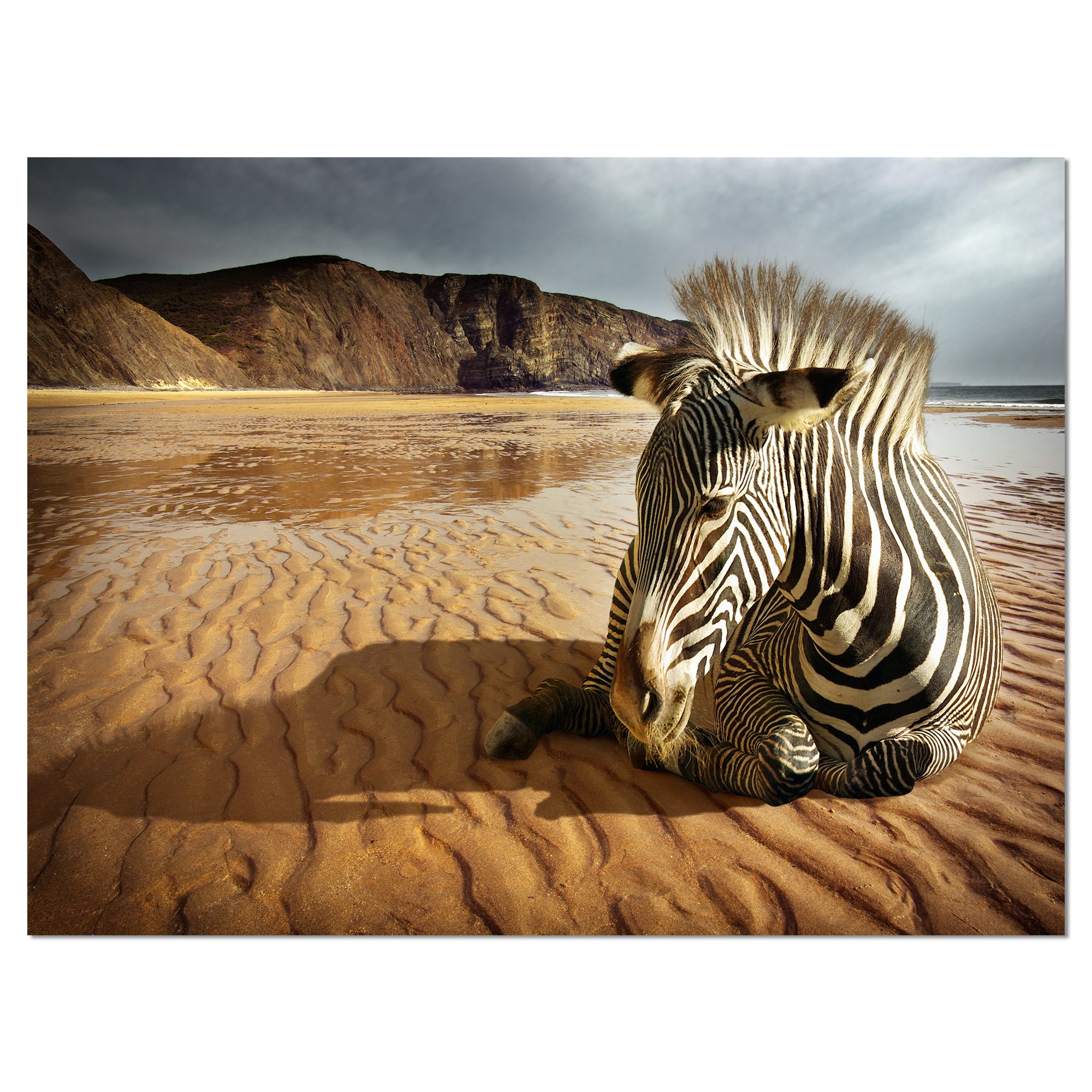 Zebra Wildlife Photography Art Print - Stunning Beach Animal Wall Decor for Living Room, Bedroom & Office