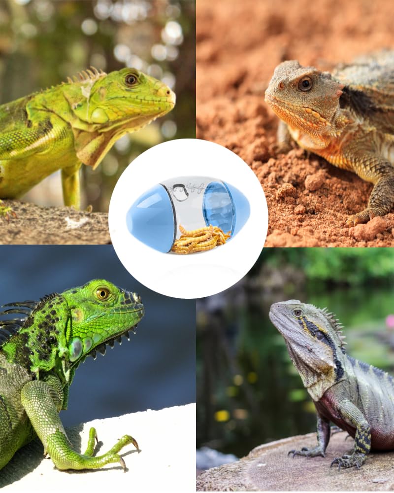 Premium Lizard Feeder Toy Ball - Enrichment & Feeding Accessory for Bearded Dragons, Geckos & Small Reptiles | Stimulating Play & Exercise for Pet Lizards