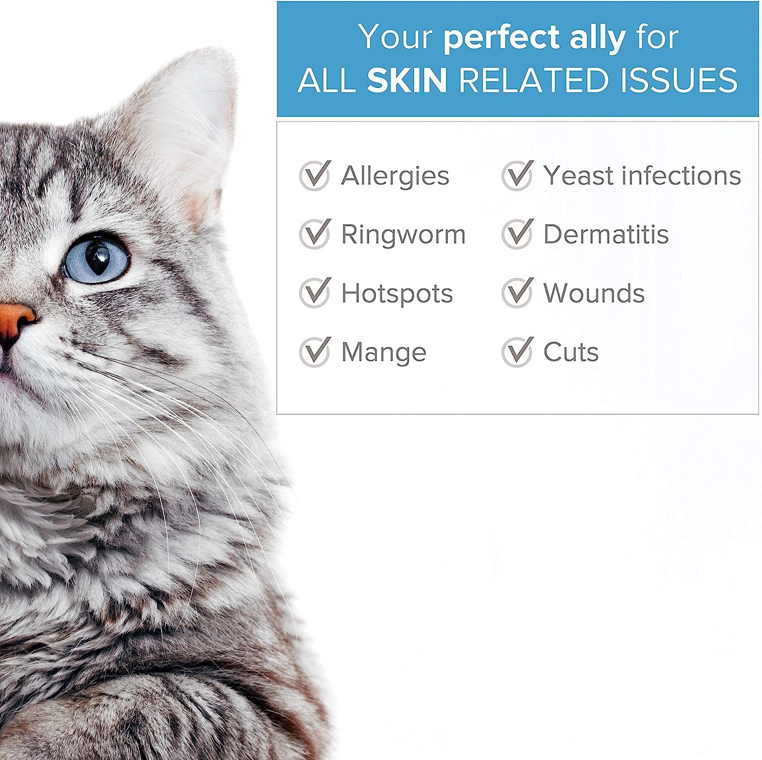 **Colloidal Silver Antiseptic Spray for Dogs & Cats – Natural Antibiotic Treatment for Skin Issues (Itchy, Allergy, Hotspot, Yeast, Dry) – Wound Care for Ear & Eye Infections – 100% Organic Pet First Aid Solution – Perfect for Daily Grooming & Post-Surgery Recovery**