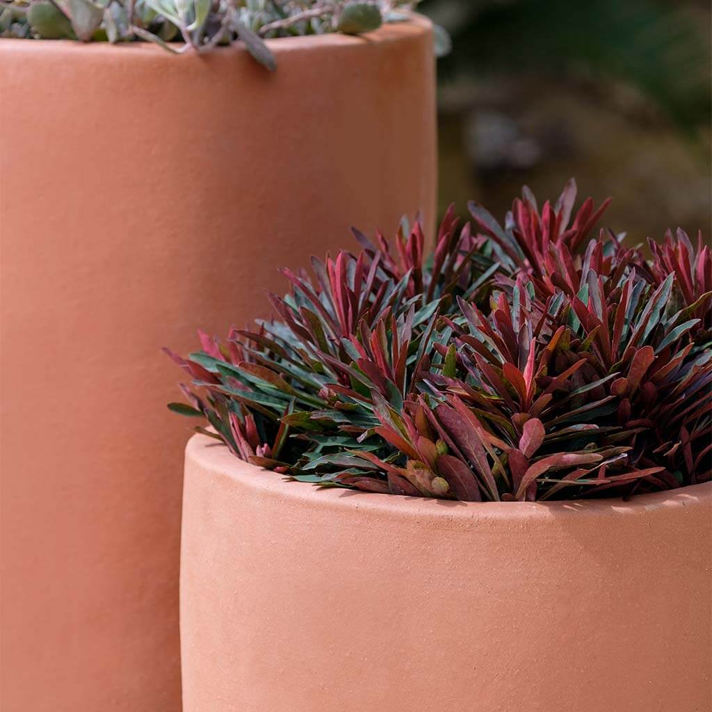 Campania International Rioja Terra Rosa Flower Pots - Set of 2 Outdoor Garden Planters for Patio, Balcony & Home Decor