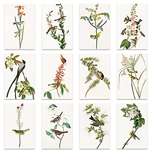 Flower Series 5