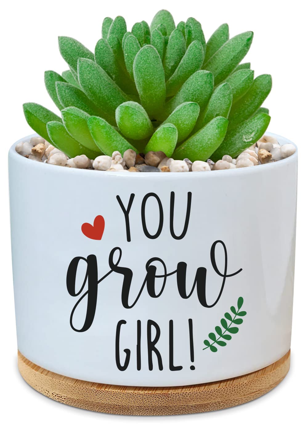 Funny Ceramic Succulent Planter with Bamboo Saucer - Mini Cactus Flower Pot for Office, Home & Garden Decor - Perfect Gift for Plant Lovers, Friends, Teachers (White) | Ideal for Desk Decor, Housewarming Gifts & Indoor Plant Display