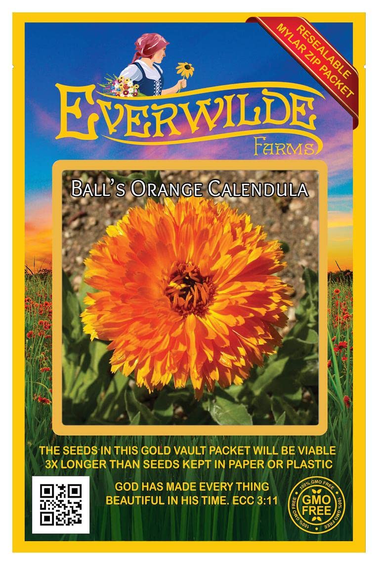 Everwilde Farms - 500 Ball's Orange Calendula Wildflower Seeds - Gold Vault Jumbo Seed Packet for Garden Planting, Landscaping & Pollinator Gardens