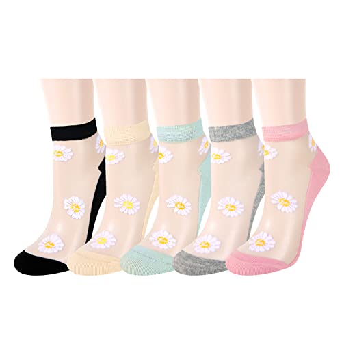 5 Pack-little Daisy Flower