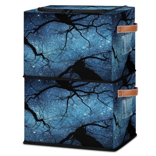 Beautiful Night Sky Trees