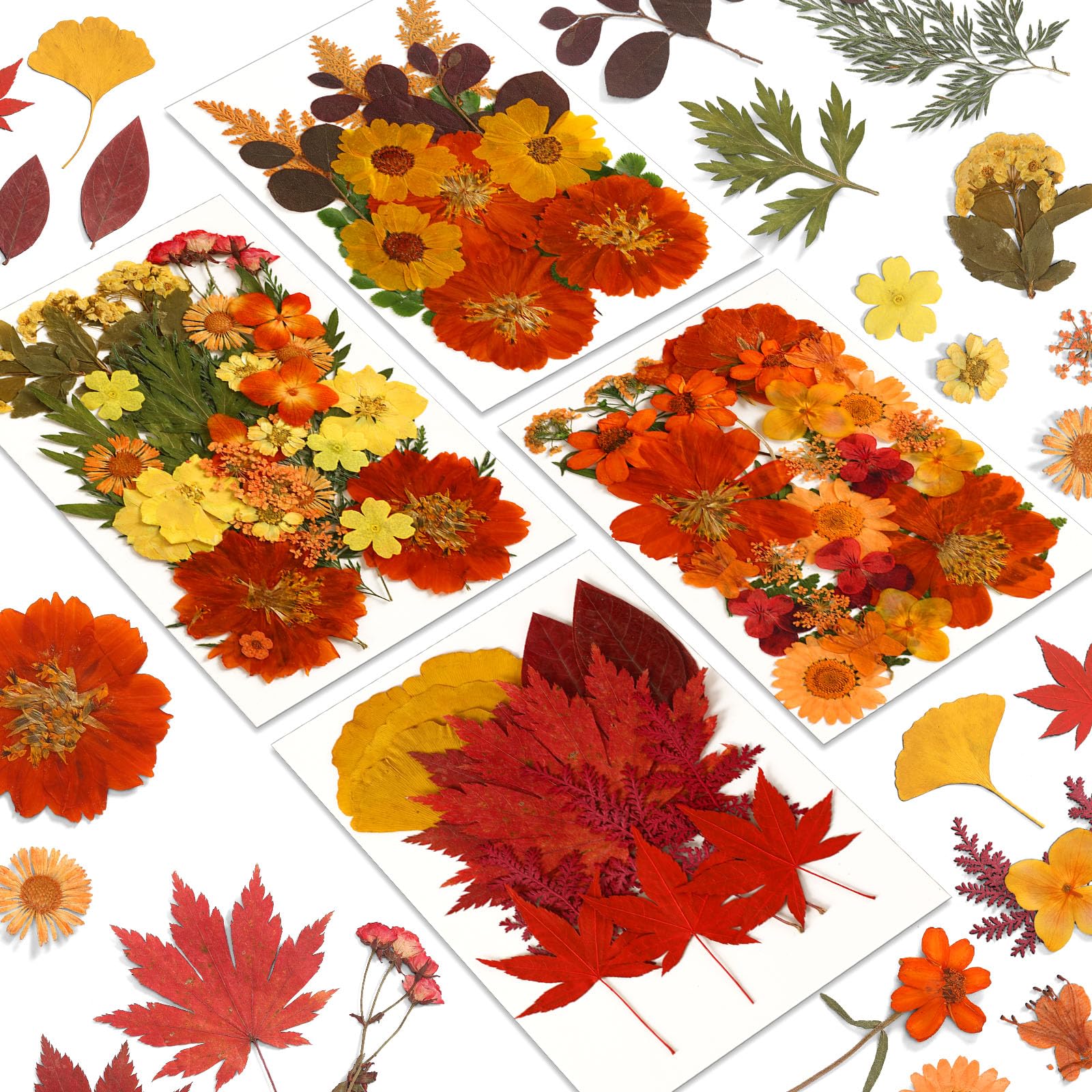 100PCS Real Pressed Autumn Flowers & Leaves for Resin Molds - Fall Dried Floral Collection for DIY Jewelry, Scrapbooking, Candle Making, Home Decor & Wedding Crafts