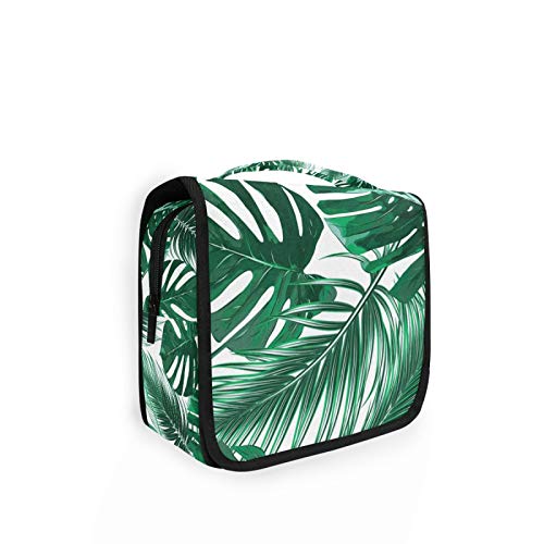 Tropical Green Monstera