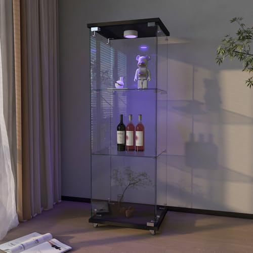 Black 1 Doors 3 Shelves With Light