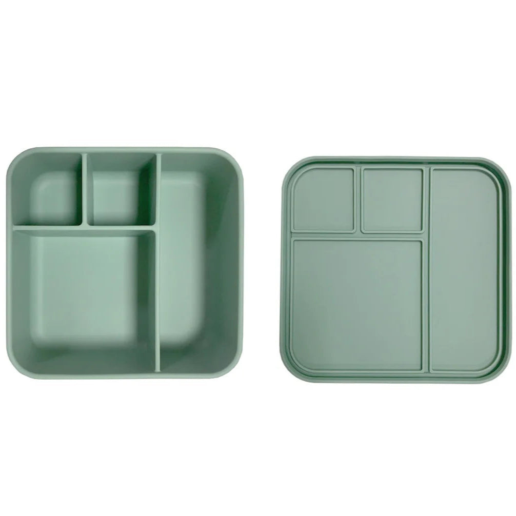 Apollo 4-Compartment Bento Box with Silicone Lid - Eco-Friendly Sage Green Lunch Container for Meal Prep, Office, School & Picnics