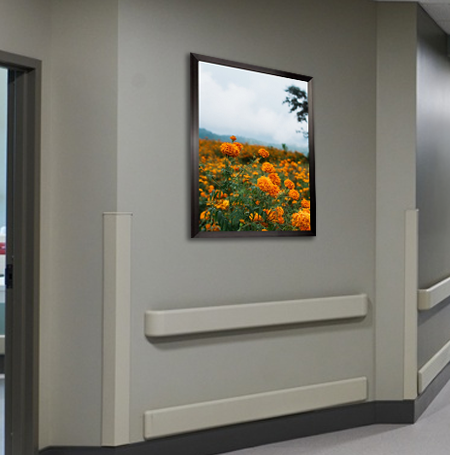 27x40 Poster Frame - Carbon Steel Swing Frame for Movie Posters & Artwork - Perfect for Home Theater, Gallery Walls & Office Decor