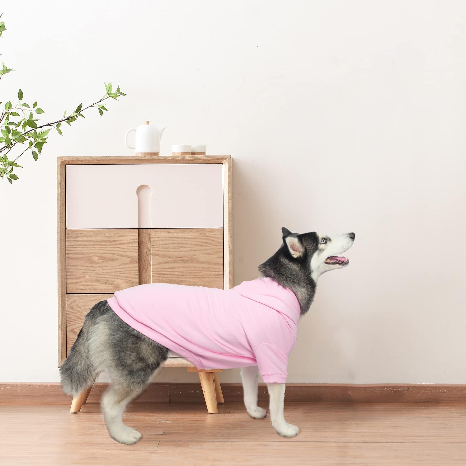 BINGPET Fleece Lined Dog Hoodies - Soft Warm Winter Sweater with Hood for Small Medium Large Dogs & Cats | Cozy Fall & Winter Outfit for Outdoor Walks and Indoor Comfort