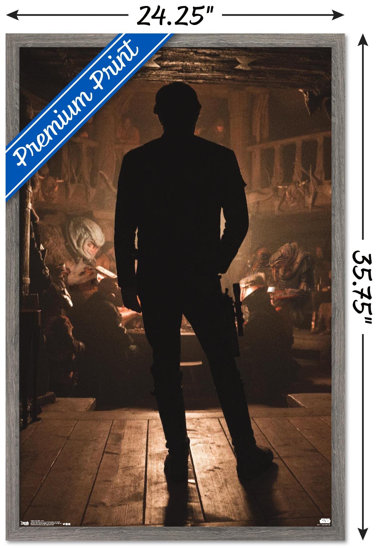 Trends International Star Wars: Solo - Han Wall Poster, 34