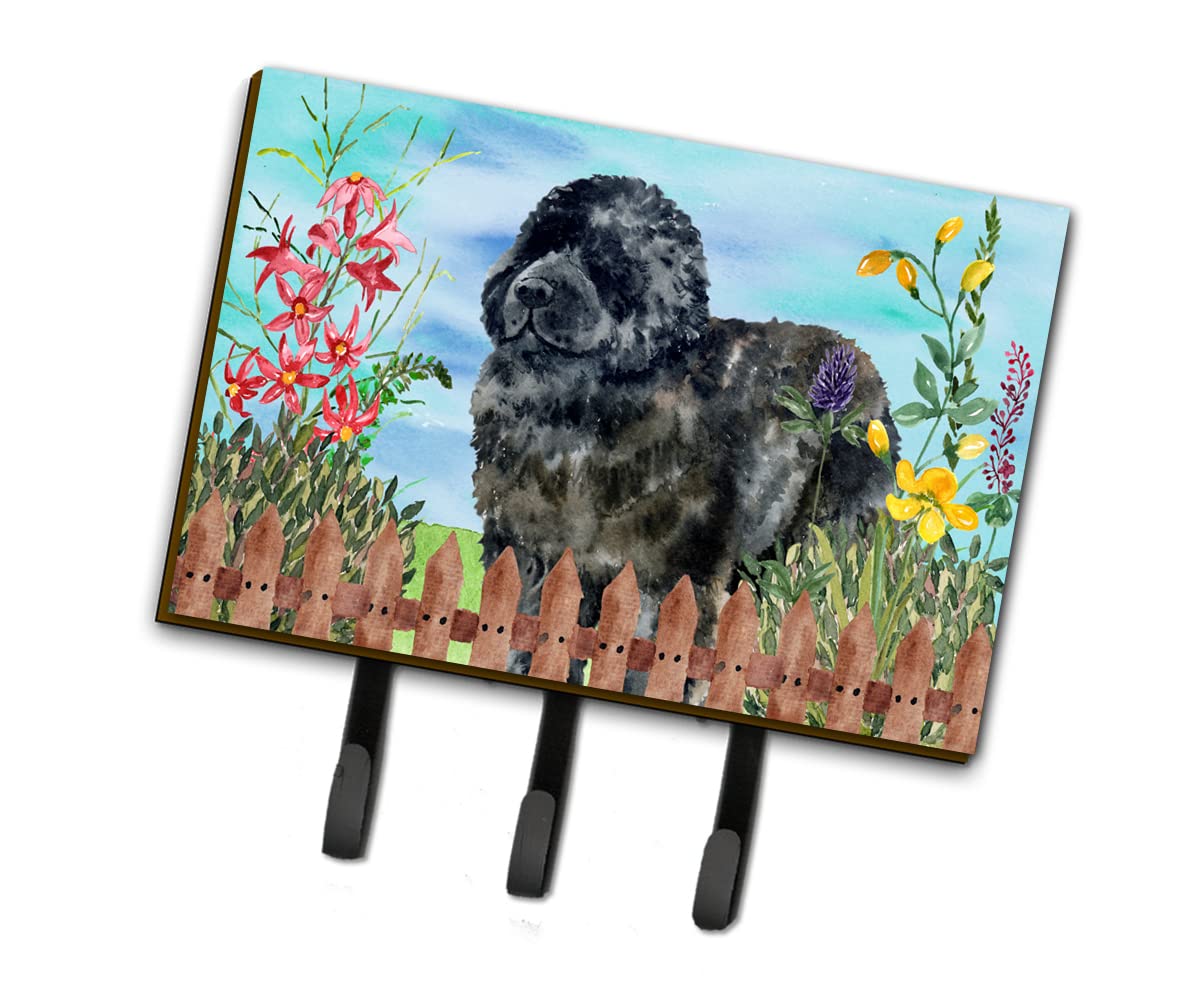 Newfoundland Spring Leash & Key Holder Wall Mount - Decorative Coat Rack with Hooks for Keys, Towels, Aprons & Dog Leashes - Perfect for Entryway, Mudroom or Kitchen Organization