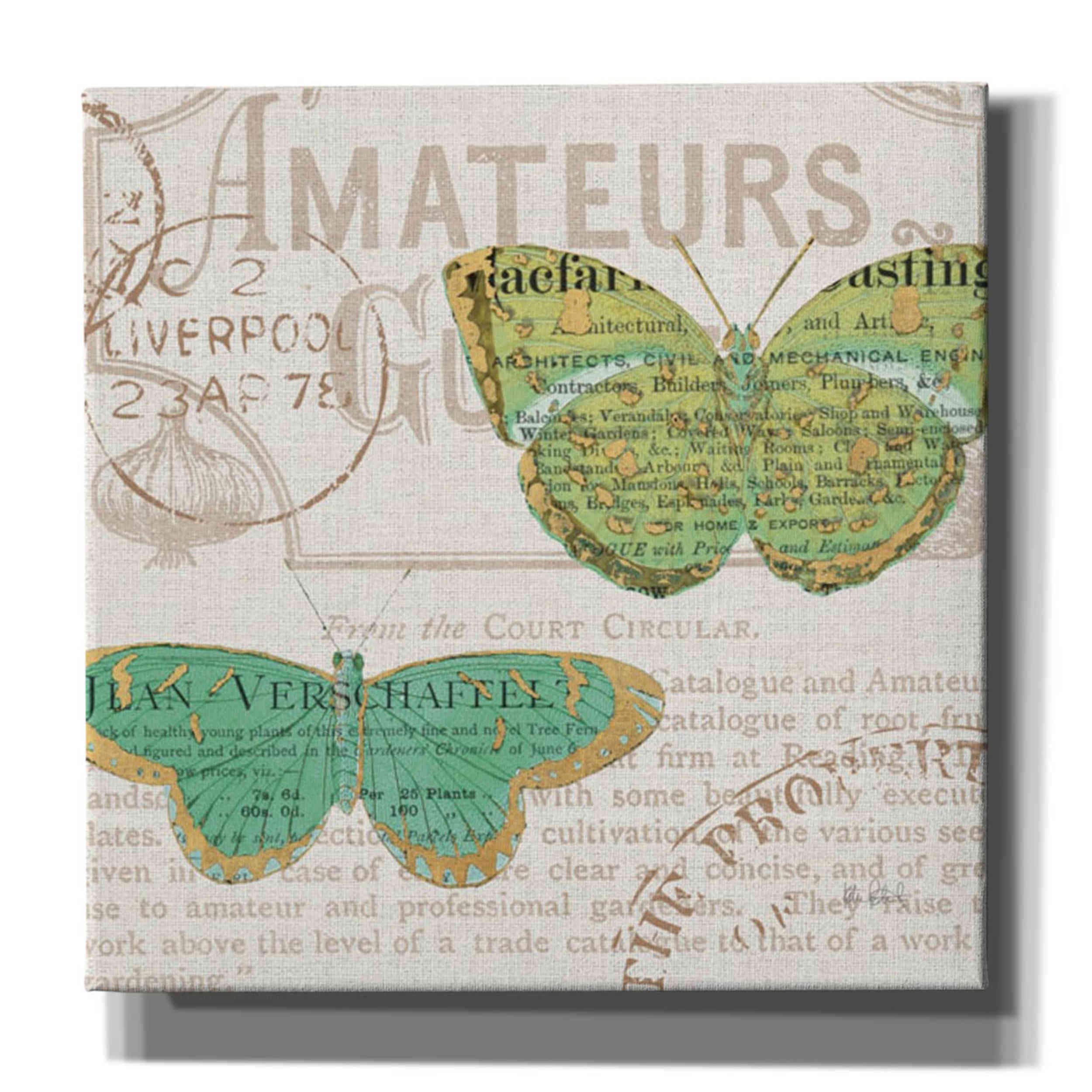 Katie Pertiet Bookshelf Botanical IX Canvas Wall Art - 37x37 Inches Large Framed Print, Vintage Floral Decor for Living Room, Bedroom & Office