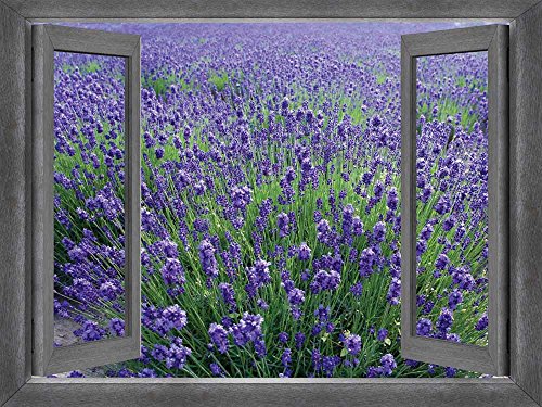 Lavendar Field