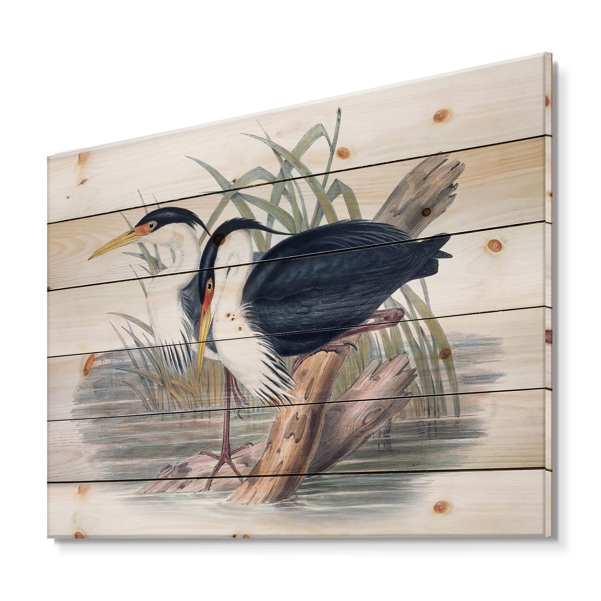 Vintage Bird Life II Traditional Wood Wall Decor - Black Wood Wall Art, Large Animal Wood Panels Printed on Natural Pine - Perfect for Living Room, Bedroom, or Office Decor