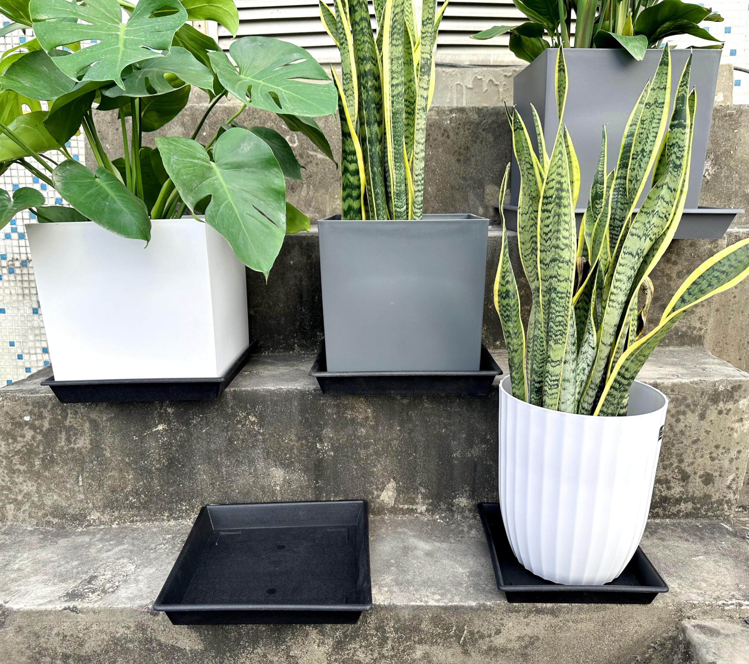 12 Inch Square Plant Saucer (2 Pack) - Heavy Duty Plastic Plant Trays for Indoor & Outdoor Pots - No Holes Drip Catcher for Flower Pots, Planters (6/8/10/12/14/16/18/20 Inch Options) - Perfect for Balcony, Patio, Garden & Home Decor